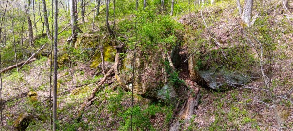 Tract 5 at Crown Wildlife Retreat property photo