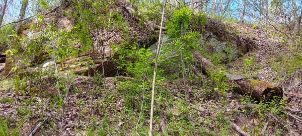 Tract 5 at Crown Wildlife Retreat property photo