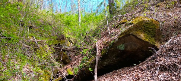 Tract 5 at Crown Wildlife Retreat property photo