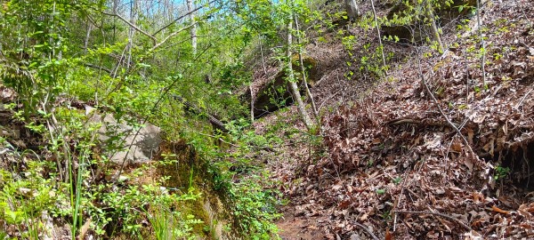 Tract 5 at Crown Wildlife Retreat property photo