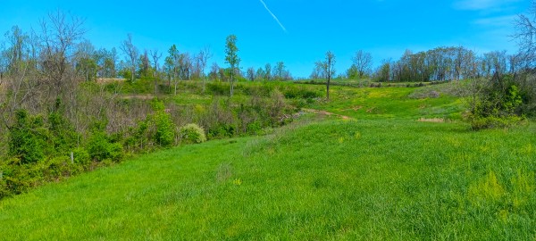 Tract 5 at Crown Wildlife Retreat property photo