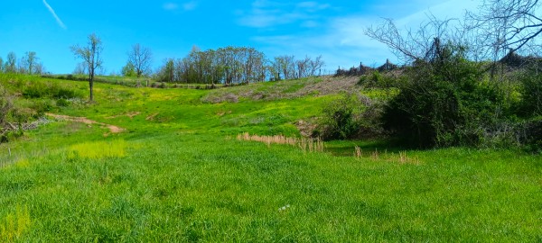 Tract 5 at Crown Wildlife Retreat property photo