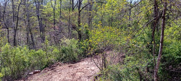 Tract 4 at Crown Wildlife Retreat property photo