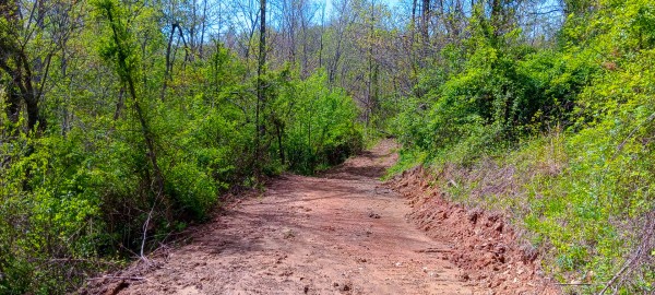 Tract 4 at Crown Wildlife Retreat property photo