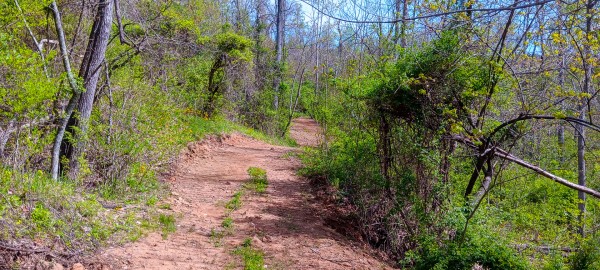 Tract 4 at Crown Wildlife Retreat property photo