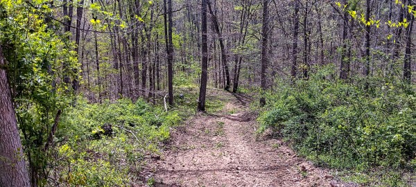 Tract 4 at Crown Wildlife Retreat property photo