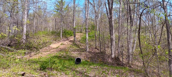 Tract 4 at Crown Wildlife Retreat property photo