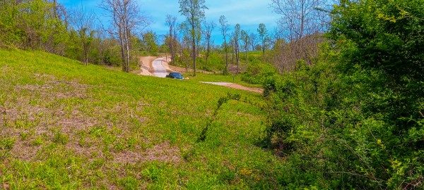 Tract 4 at Crown Wildlife Retreat property photo
