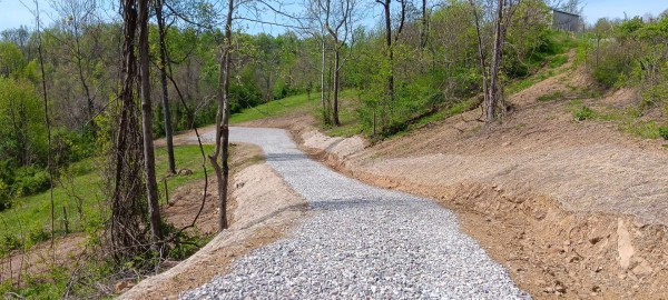 More of Tract 4 at Crown Wildlife Retreat