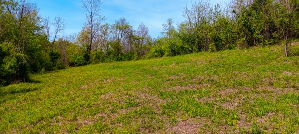 Tract 4 at Crown Wildlife Retreat property photo