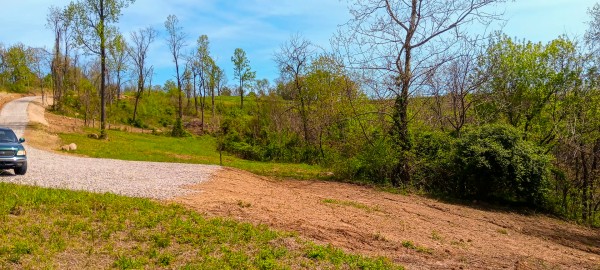 Tract 4 at Crown Wildlife Retreat property photo