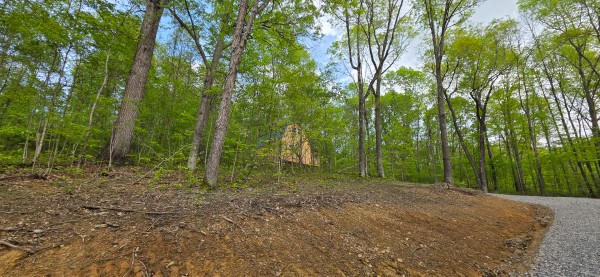 Timber View Cabin at Big Timber Ridge property photo