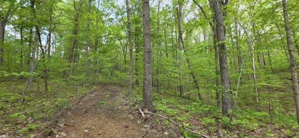 Timber View Cabin at Big Timber Ridge property photo