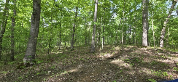 Timber View Cabin at Big Timber Ridge property photo
