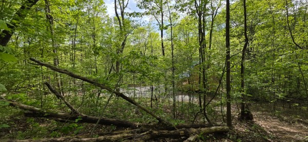 Timber View Cabin at Big Timber Ridge property photo