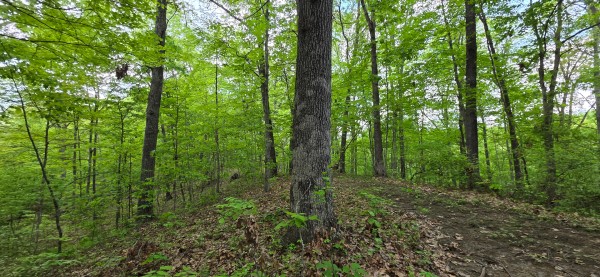 Ridge View Cabin at Big Timber Ridge property photo