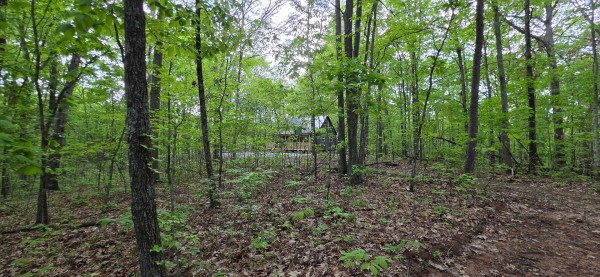 Ridge View Cabin at Big Timber Ridge property photo