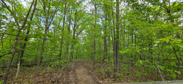 Ridge View Cabin at Big Timber Ridge property photo