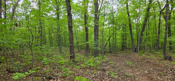 Ridge View Cabin at Big Timber Ridge property photo