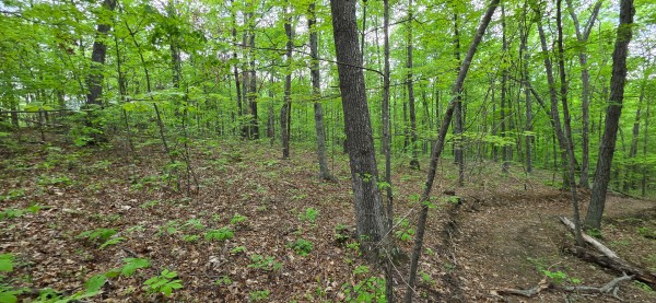 Ridge View Cabin at Big Timber Ridge property photo