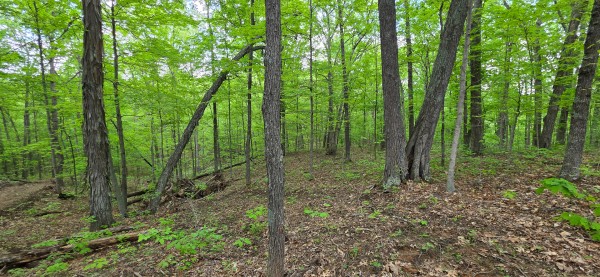 Ridge View Cabin at Big Timber Ridge property photo