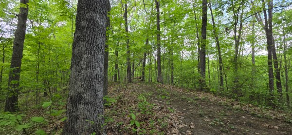 Ridge View Cabin at Big Timber Ridge property photo