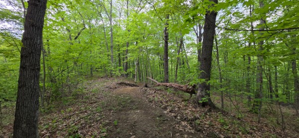Ridge View Cabin at Big Timber Ridge property photo