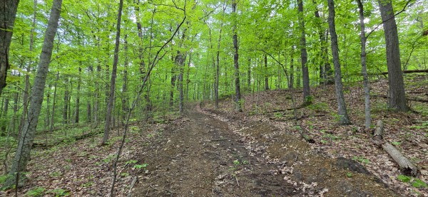 Ridge View Cabin at Big Timber Ridge property photo