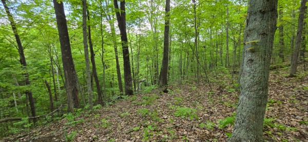 Ridge View Cabin at Big Timber Ridge property photo