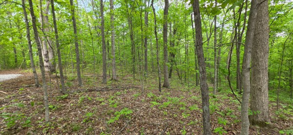 Ridge View Cabin at Big Timber Ridge property photo