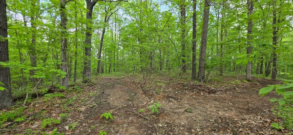 Ridge View Cabin at Big Timber Ridge property photo