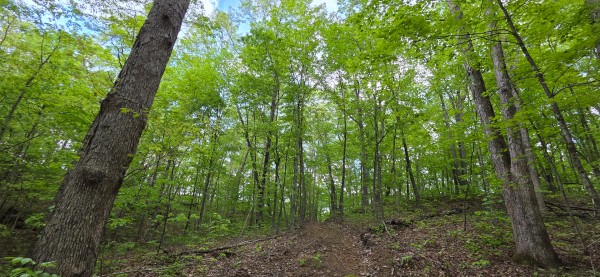 Ridge View Cabin at Big Timber Ridge property photo