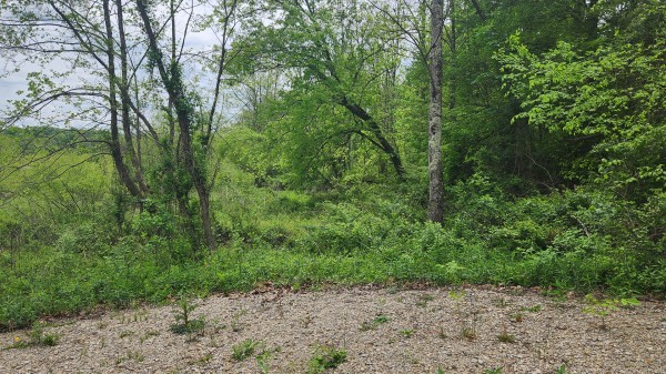 Tract 6 - Albany Woods property photo