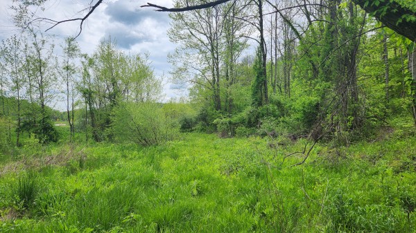 Tract 6 - Albany Woods property photo