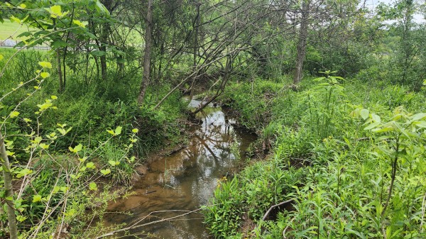 Tract 6 - Albany Woods property photo