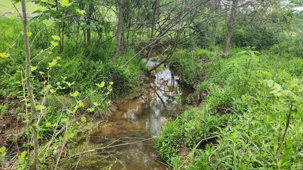 Tract 6 - Albany Woods property photo