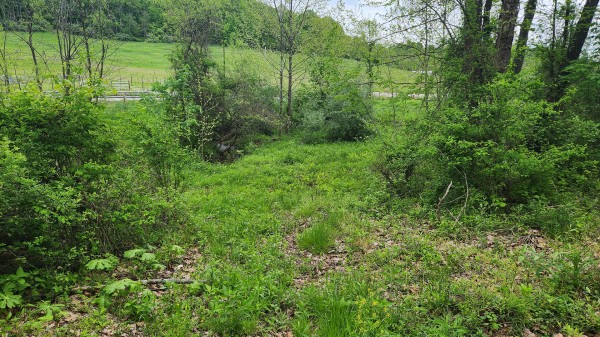Tract 6 - Albany Woods property photo