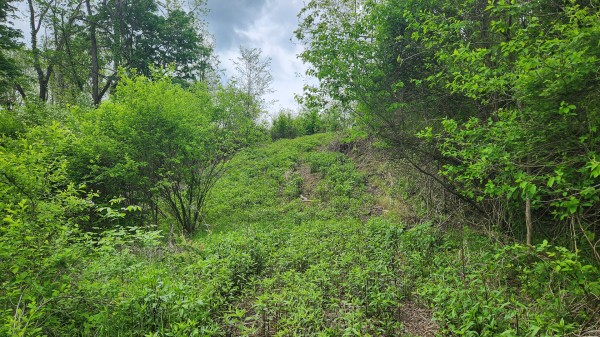 Tract 6 - Albany Woods property photo