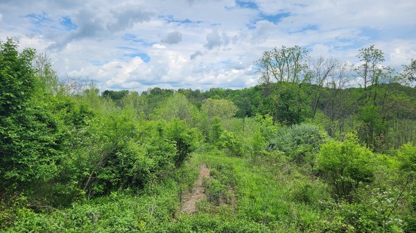 Tract 6 - Albany Woods property photo