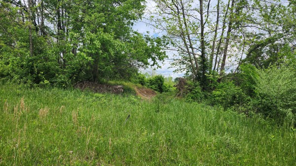 Tract 6 - Albany Woods property photo