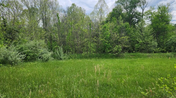 Tract 6 - Albany Woods property photo
