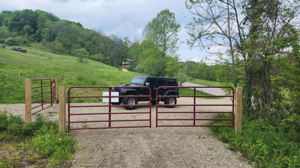 More of Tract 6 - Albany Woods