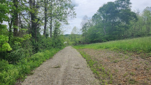 More of Tract 6 - Albany Woods