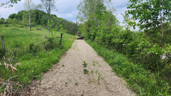 Tract 6 - Albany Woods property photo
