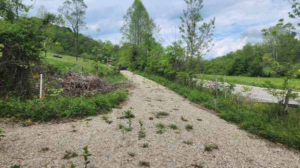 Tract 6 - Albany Woods property photo