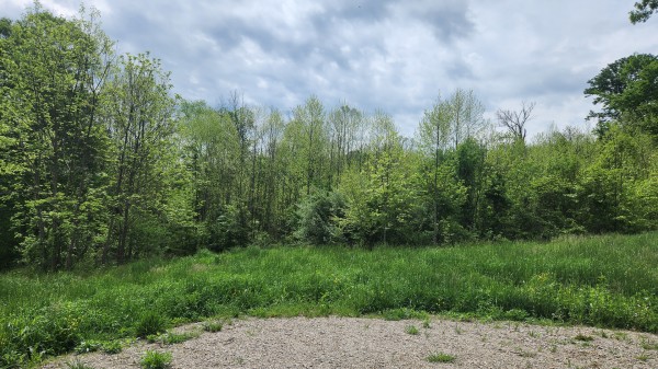 Tract 5 - Albany Woods property photo