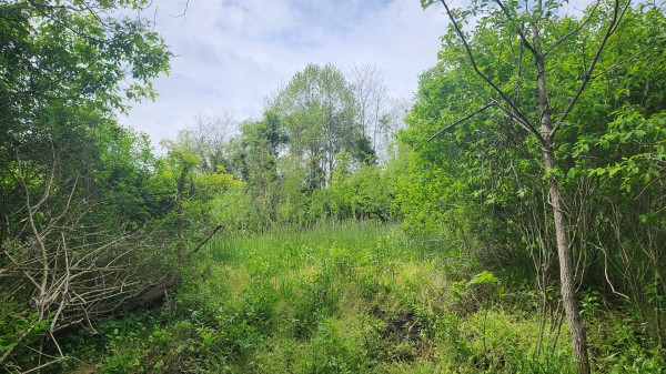 Tract 5 - Albany Woods property photo