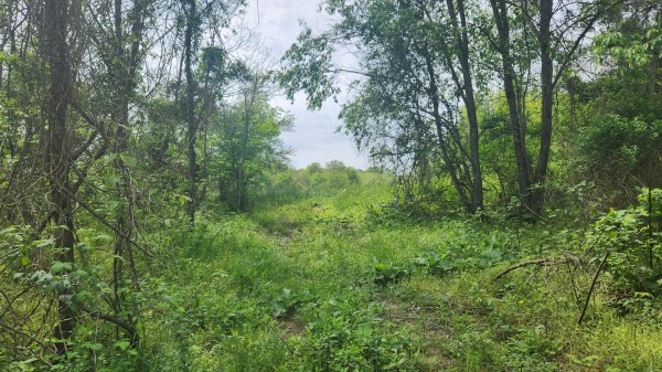 Tract 5 - Albany Woods property photo