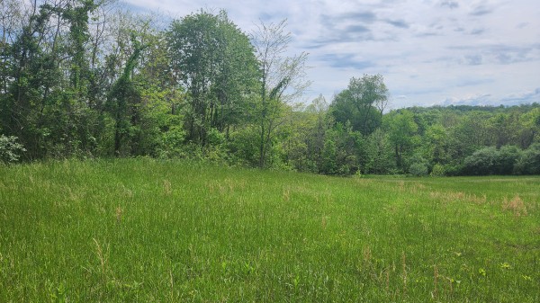 Tract 5 - Albany Woods property photo