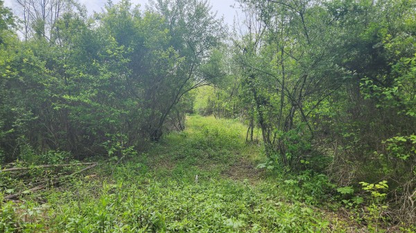 Tract 5 - Albany Woods property photo